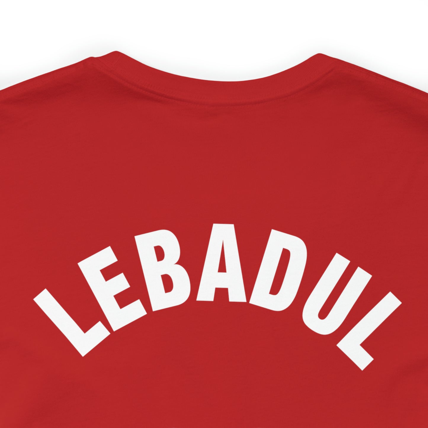 Mongolian Basketball Association t-shirt